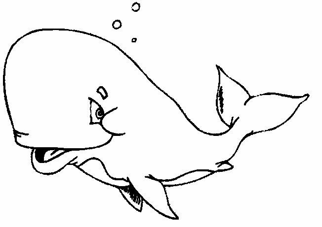coloriage jolie baleine